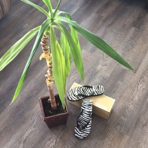 Michael Kors zebra print flip flops